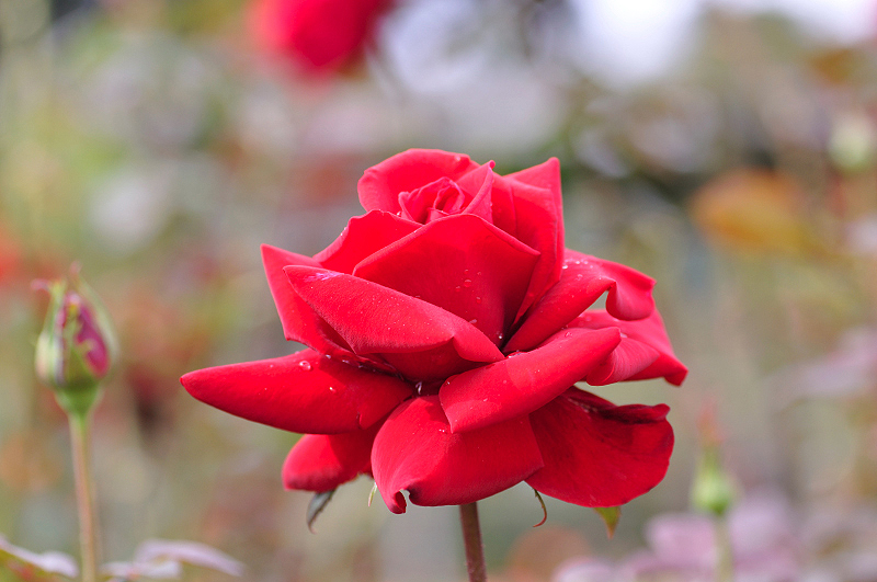 image0111