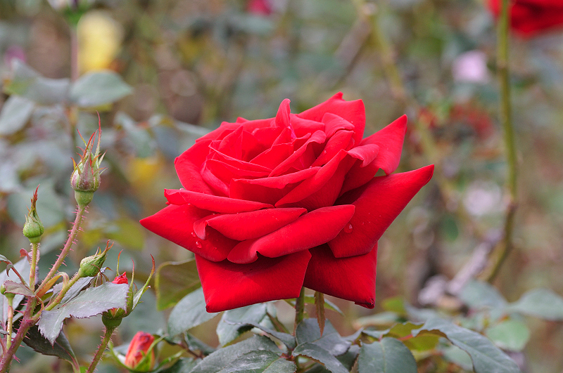 image0126