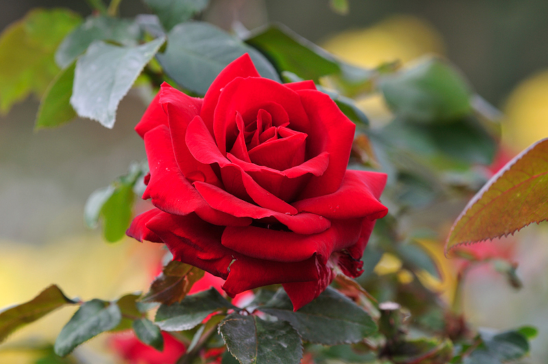 image0127