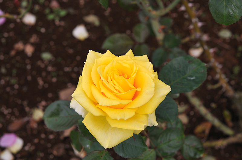 image0136