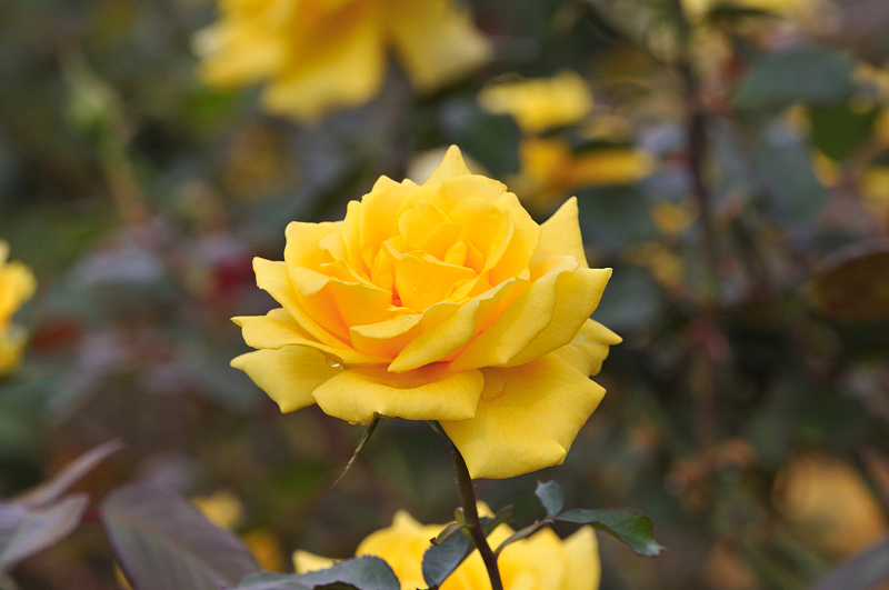 image0139