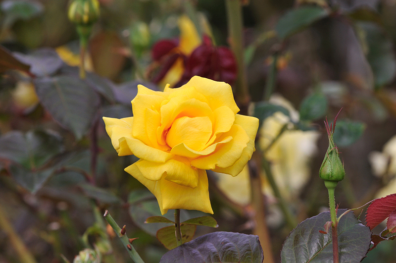 image0140