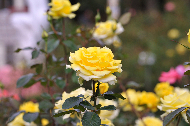 image0143