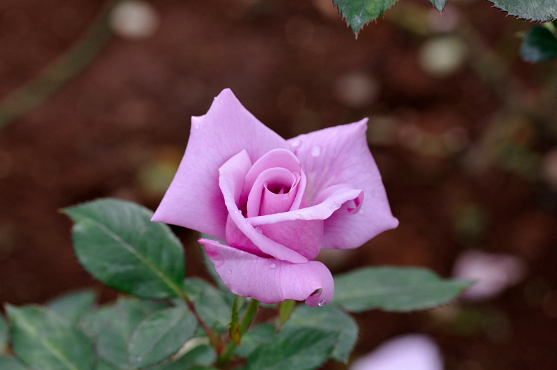 image0151