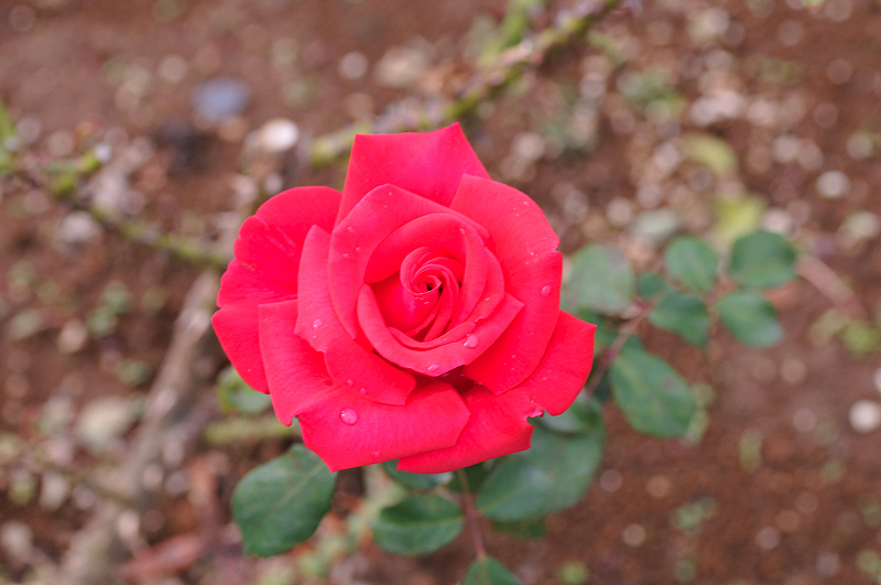 image0154