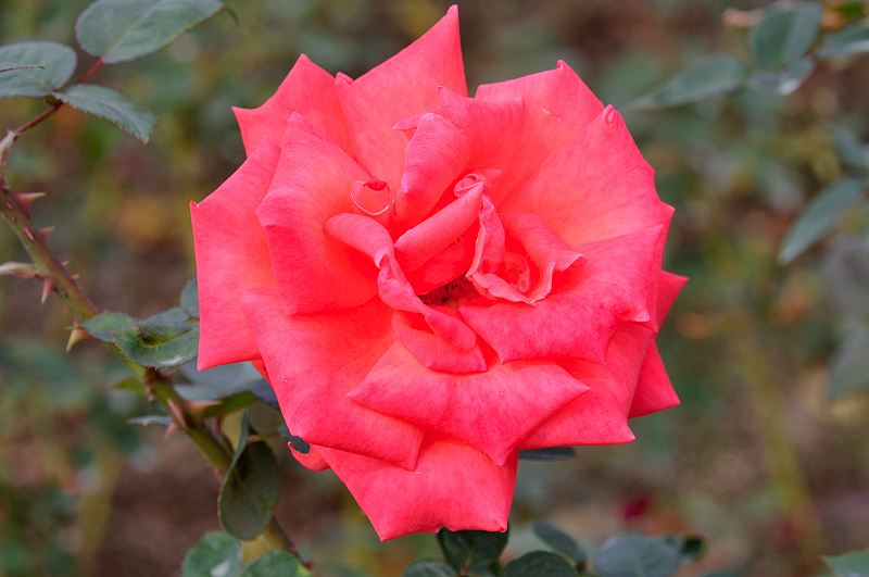 image0159