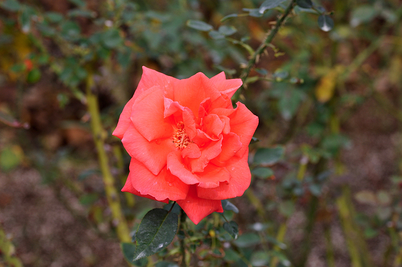 image0160