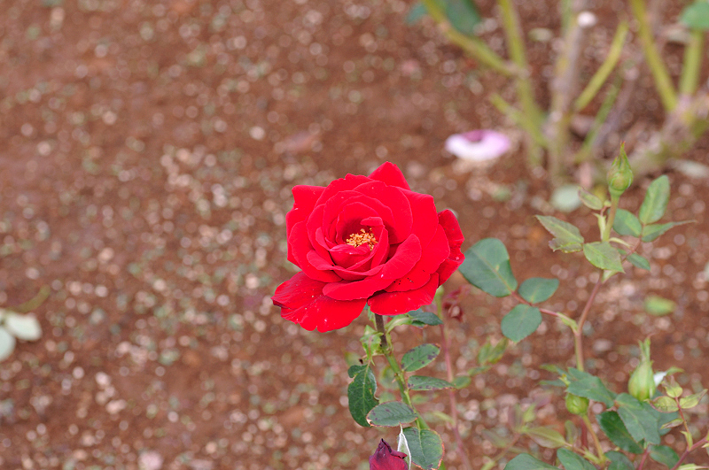 image0163