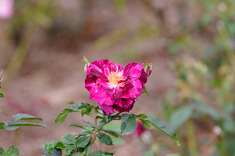 image0164