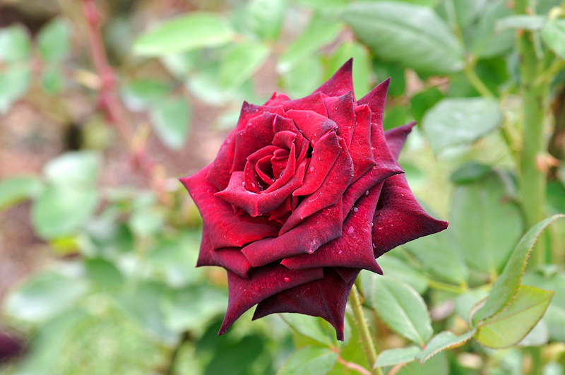image0170