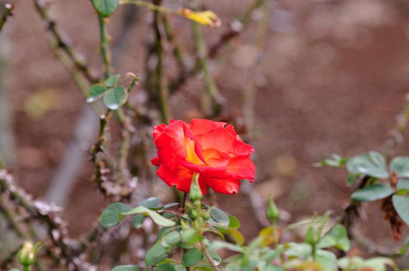 image0173