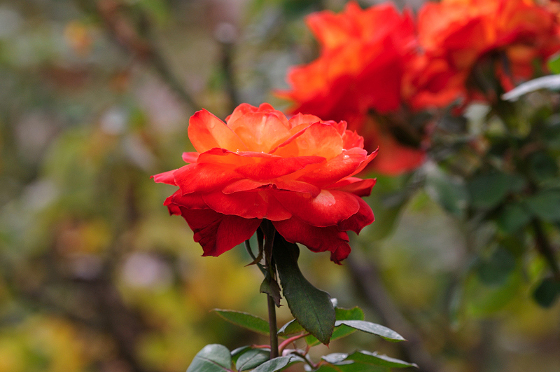 image0178
