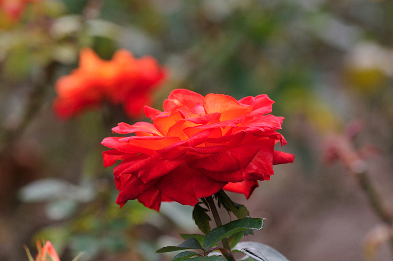 image0179
