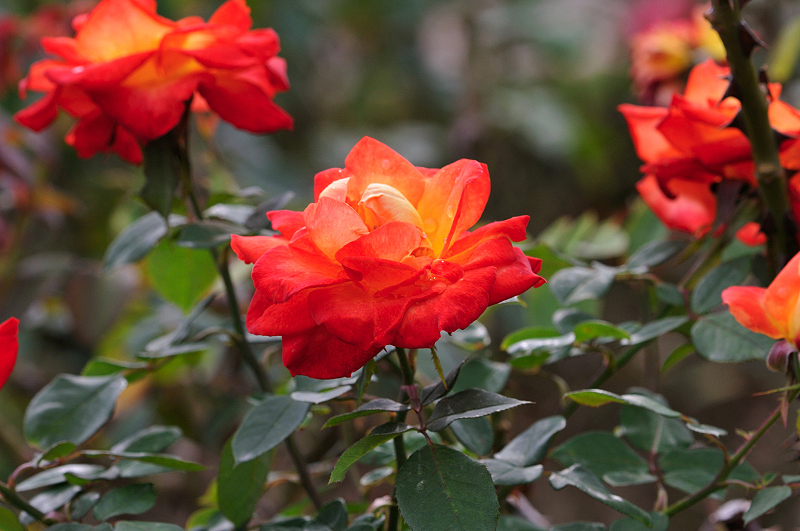 image0180