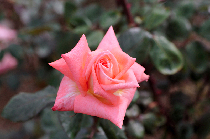 image0186