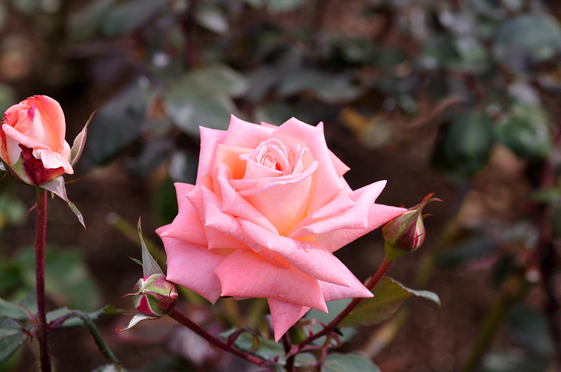 image0187