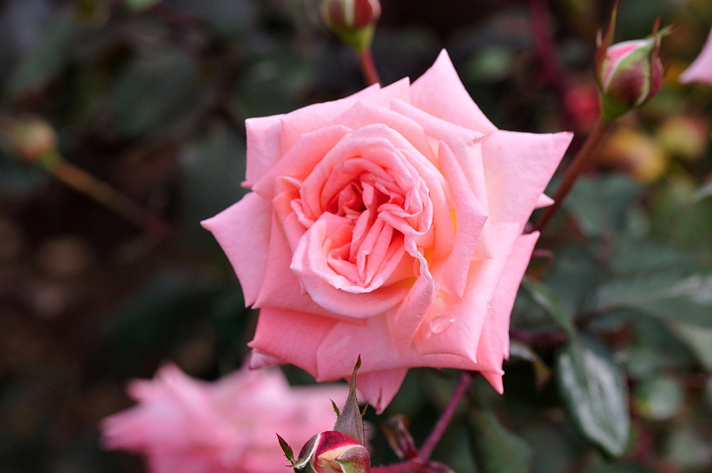 image0188