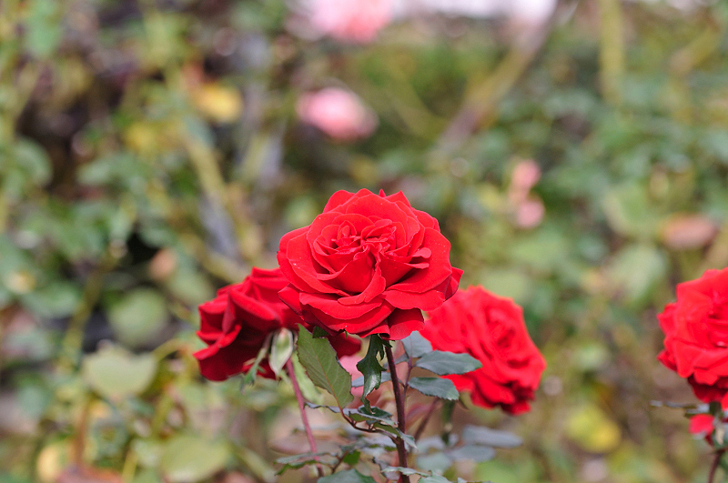 image0190
