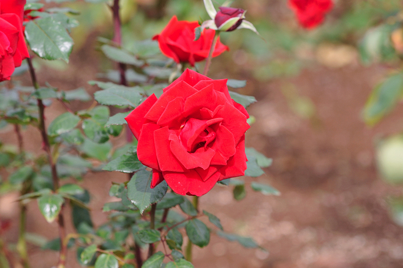 image0191