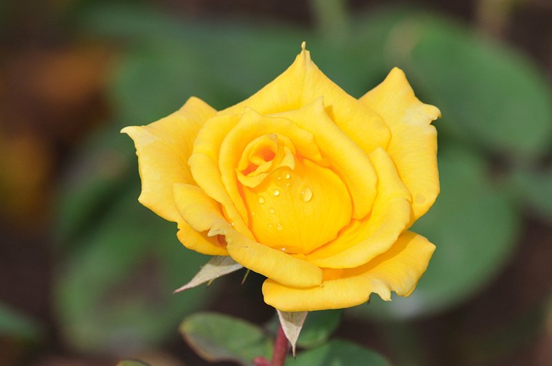 image0194