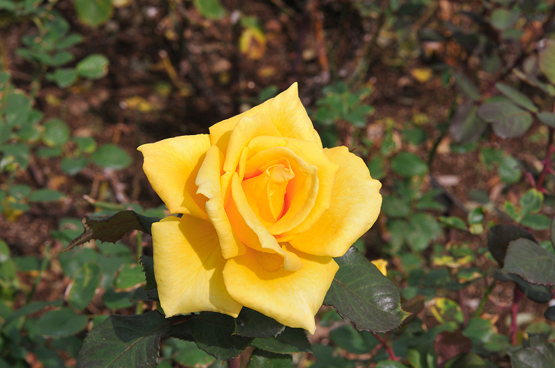 image0195