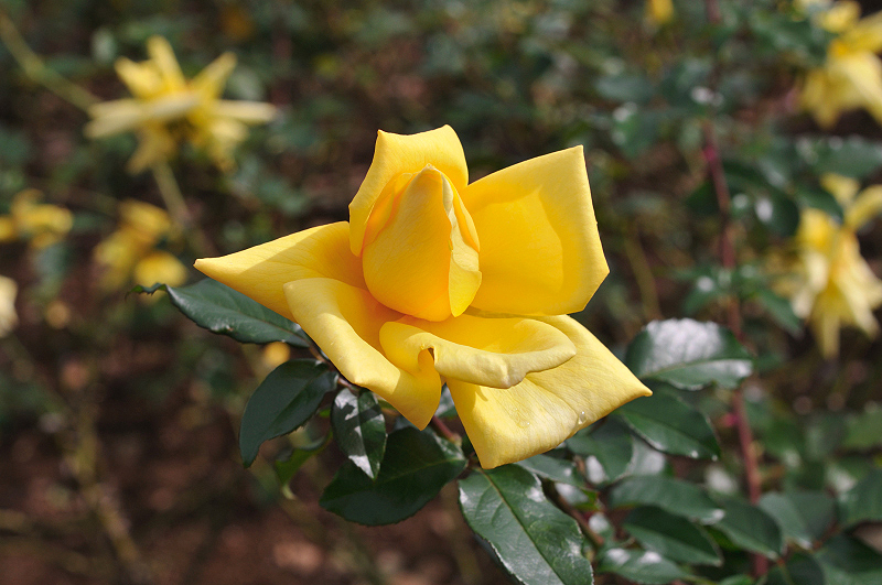 image0200