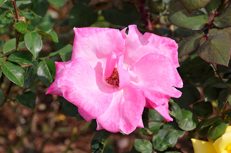 image0201