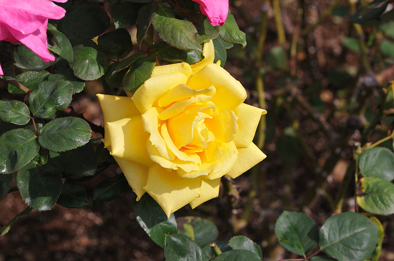 image0202