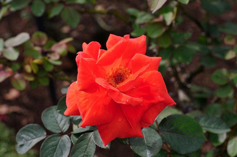 image0217