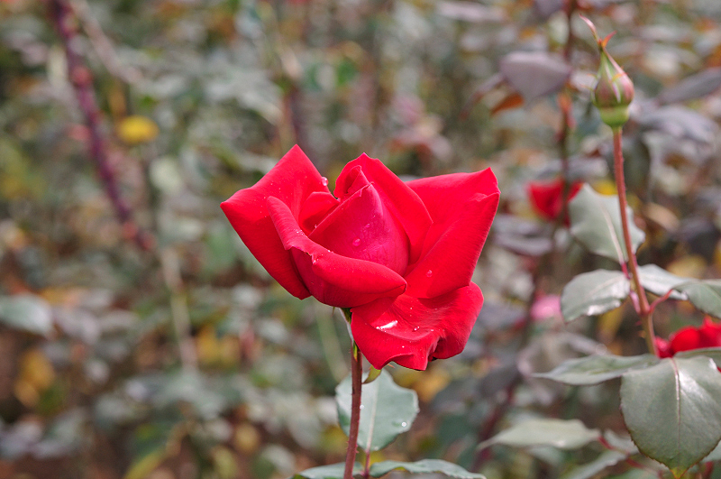 image0219