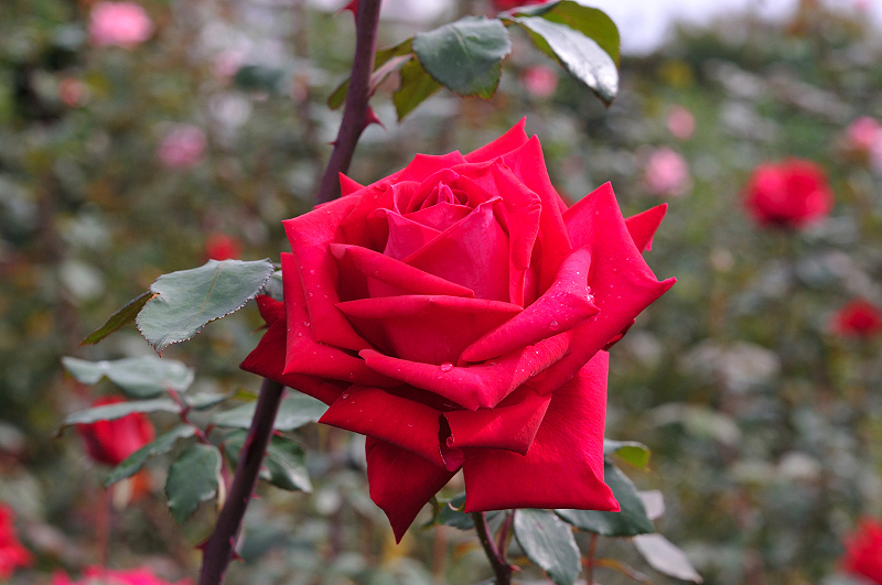 image0220