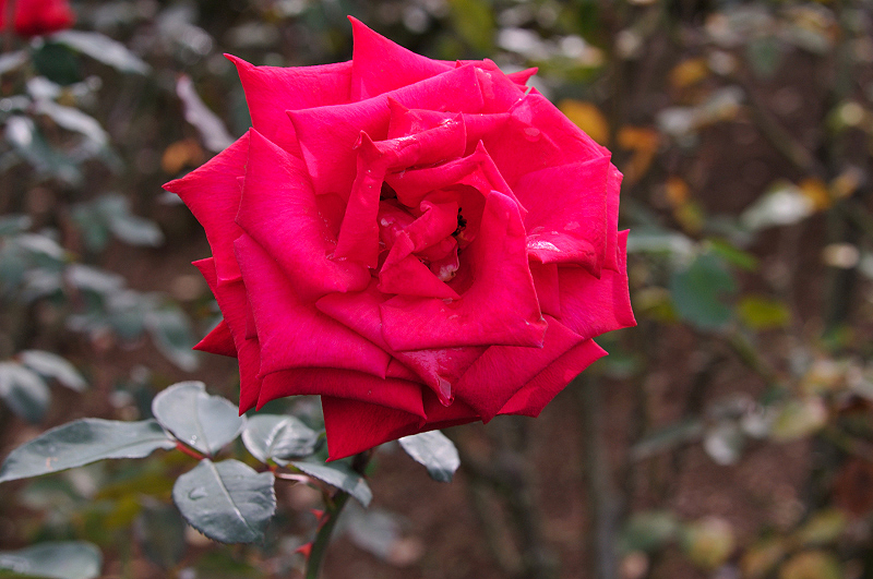 image0221