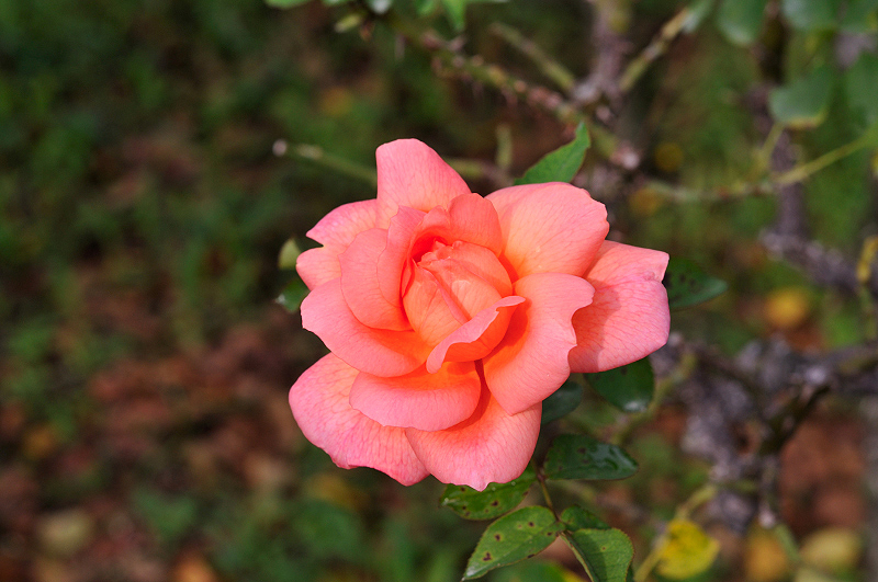 image0224