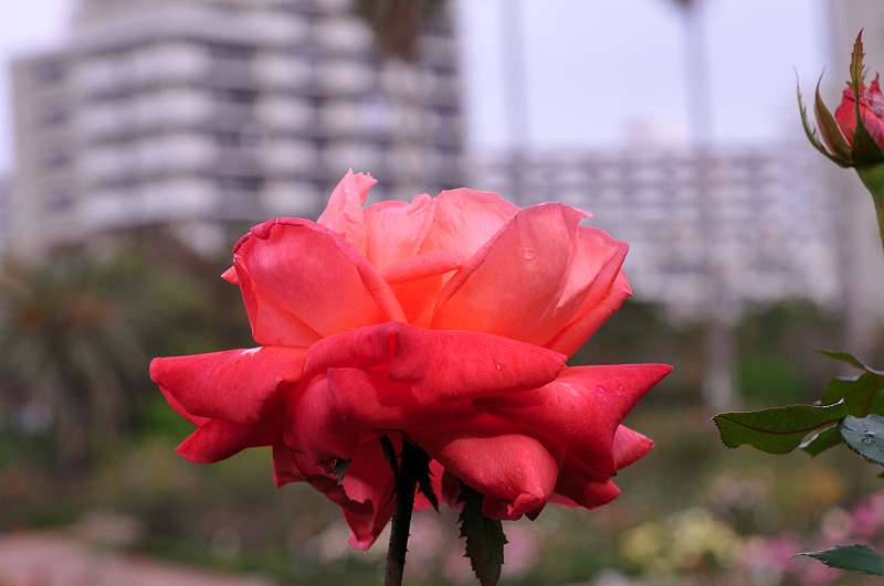 image0231