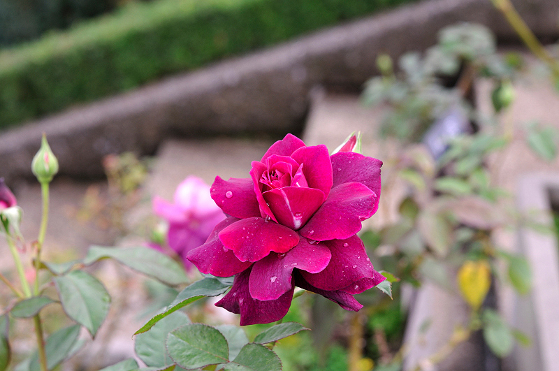 image0241