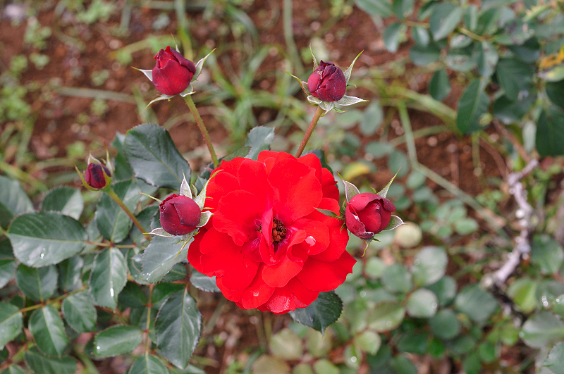 image0248