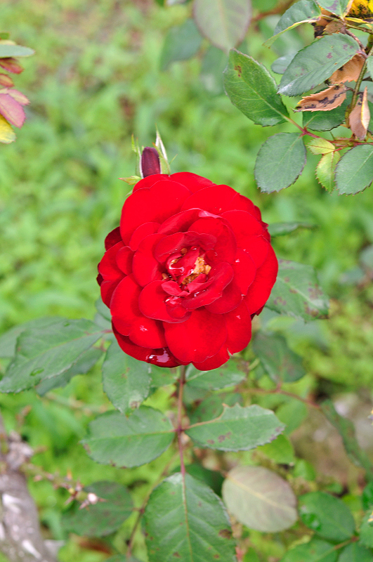 image0252