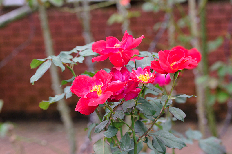 image0258