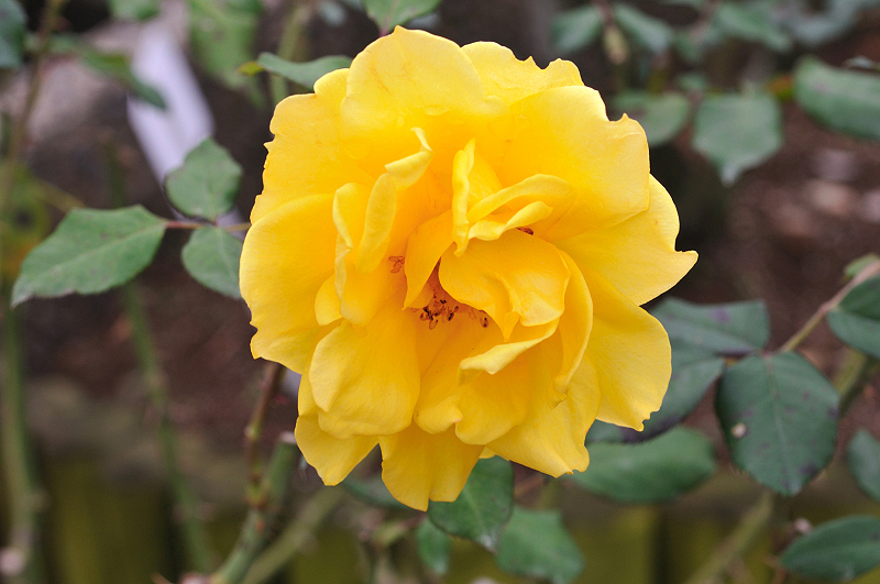 image0270