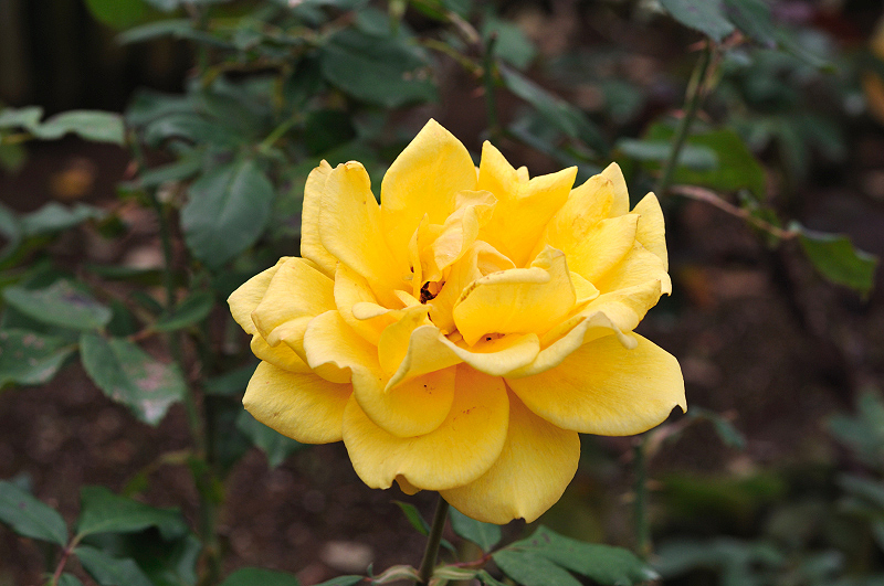 image0272