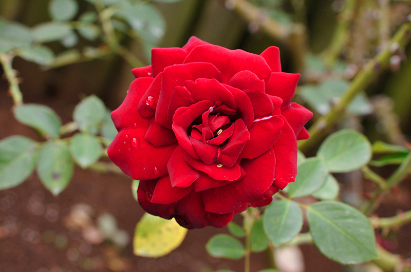image0274