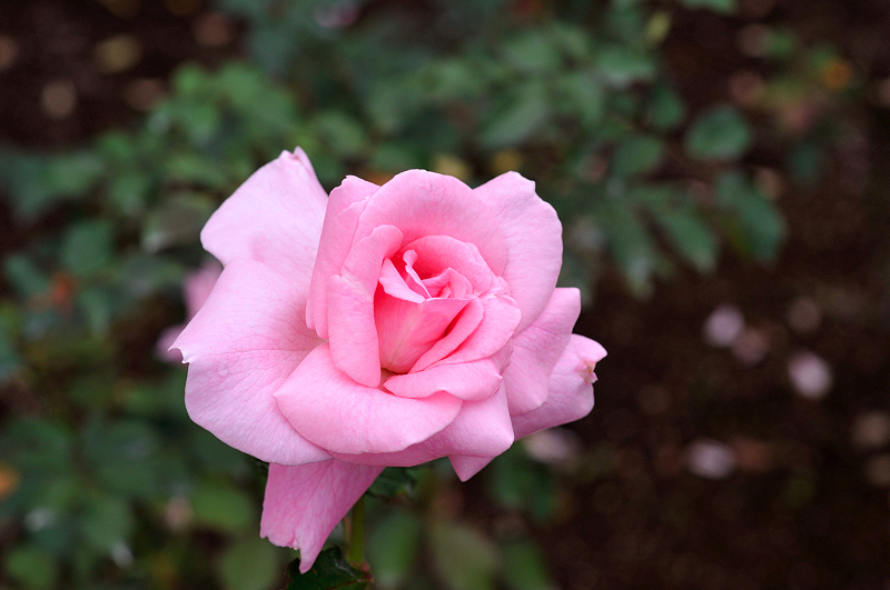image0277