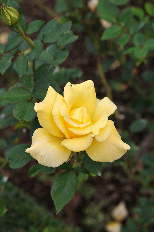 image0280