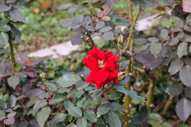 image0285