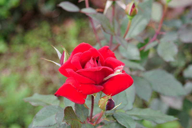 image0287