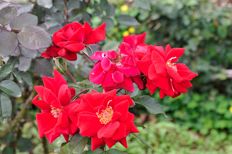image0288