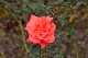 image0160