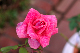 image0162