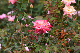 image0166