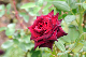 image0170